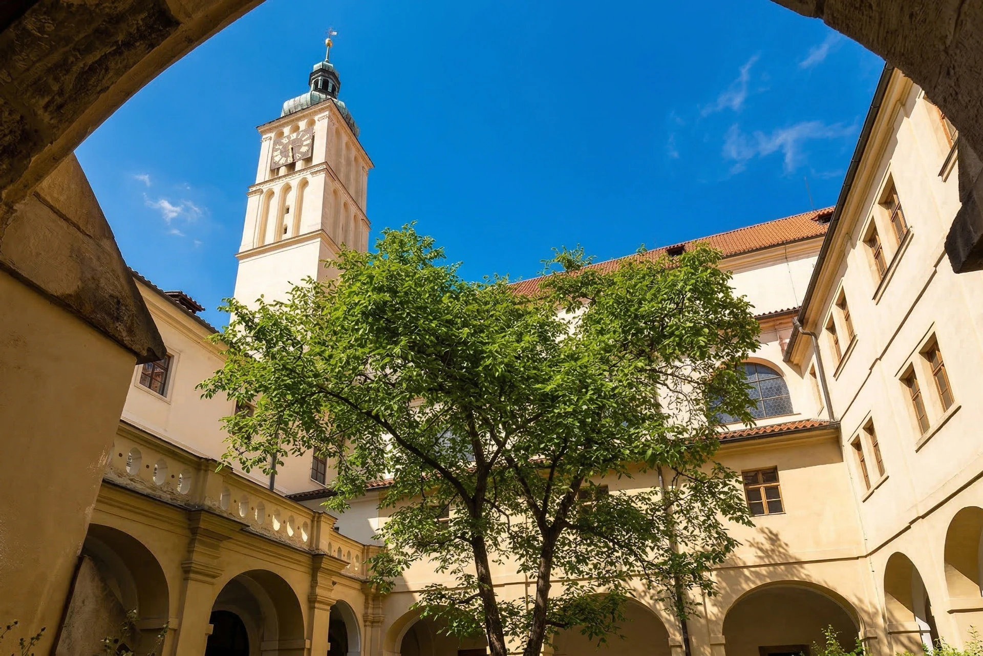 A courtyard with a tree, surrounded by yellow buildings, and a tall clock tower under a clear blue sky.