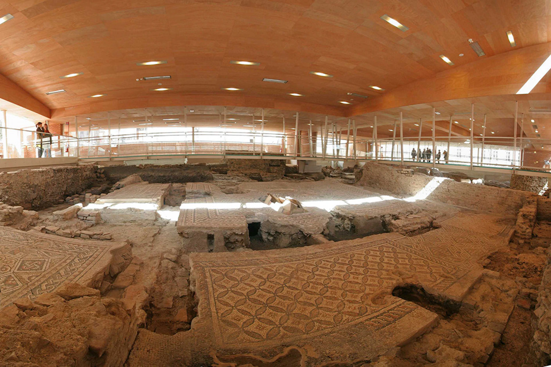 Surgeon's Domus