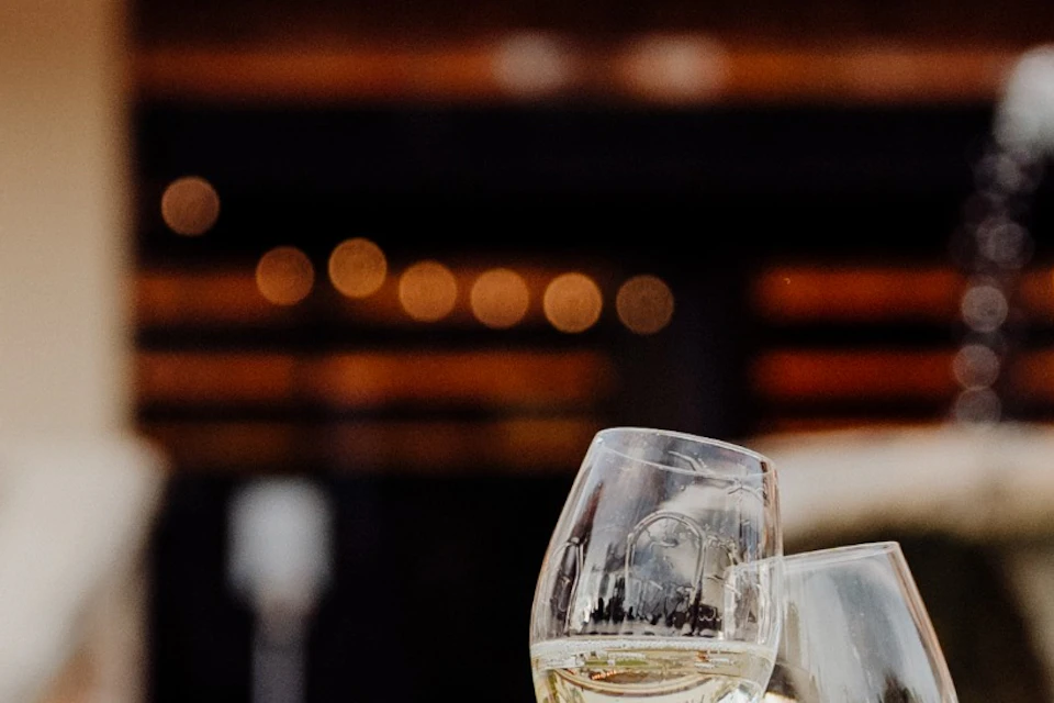 A man in a white shirt toasts with someone off-frame, holding a glass of white wine in front of a building with "Cavas Freixenet" signage.