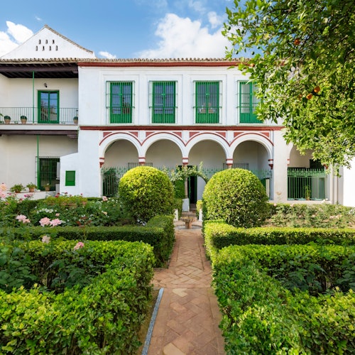 Bucarelli Palace in Seville: Entry Ticket Bucarelli Palace in Seville: Entry Ticket