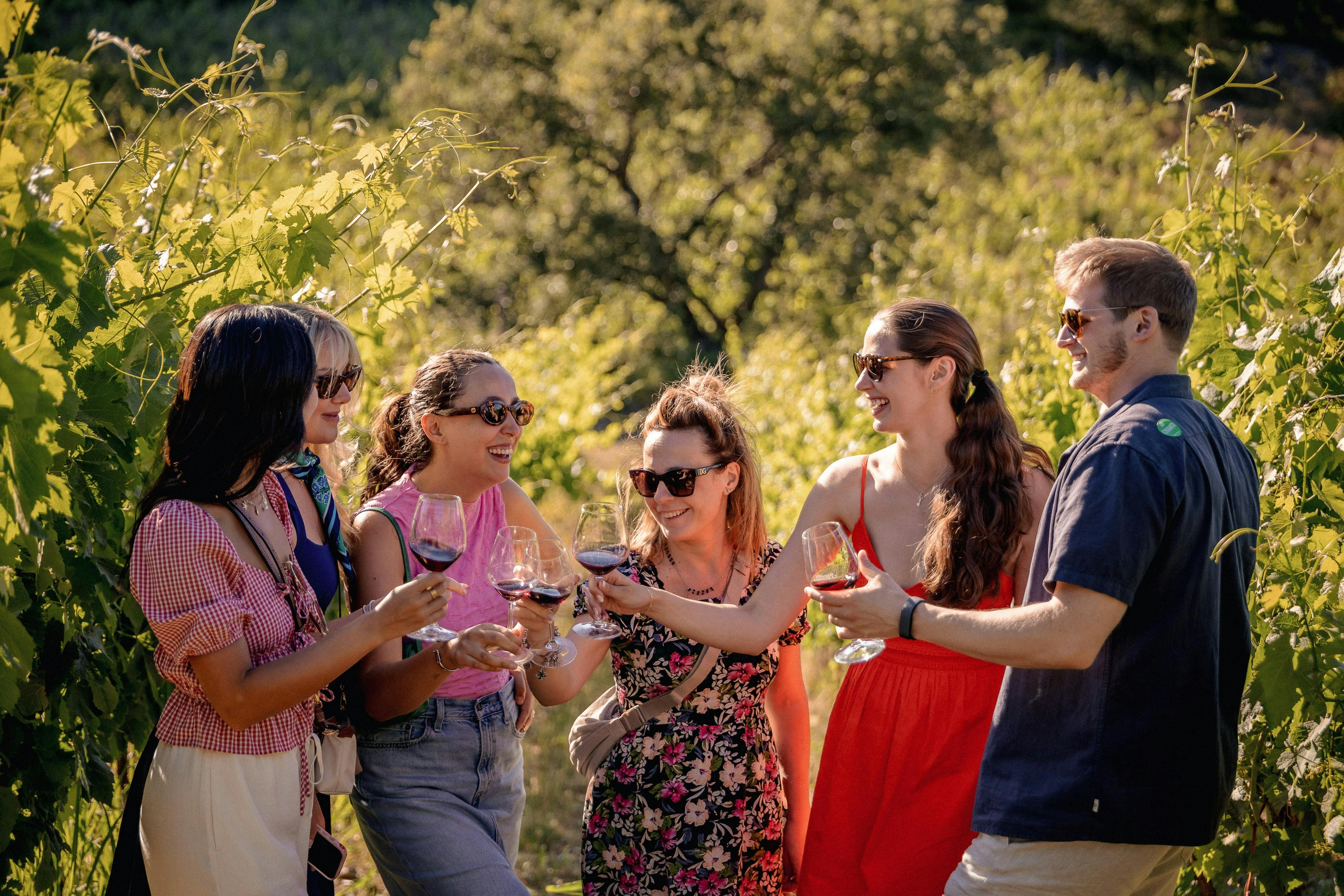 A group of women smiling and holding wine glasses in a vineyard with green foliage and sunny weather.