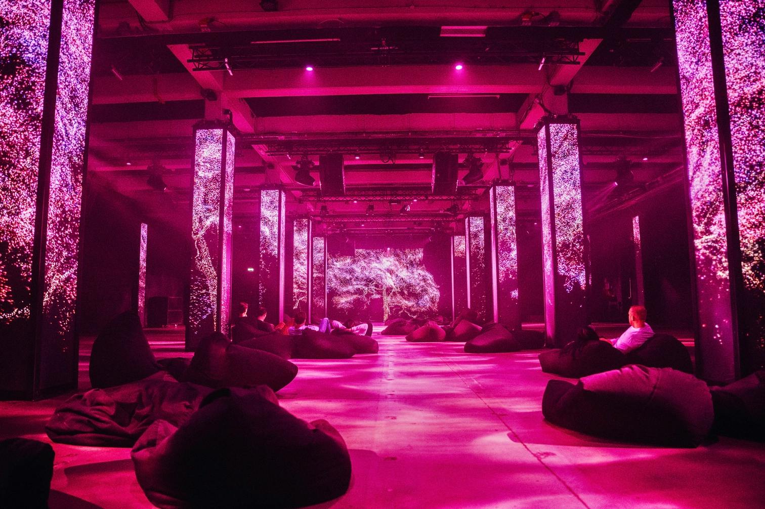 AMAZE: The Immersive Experience