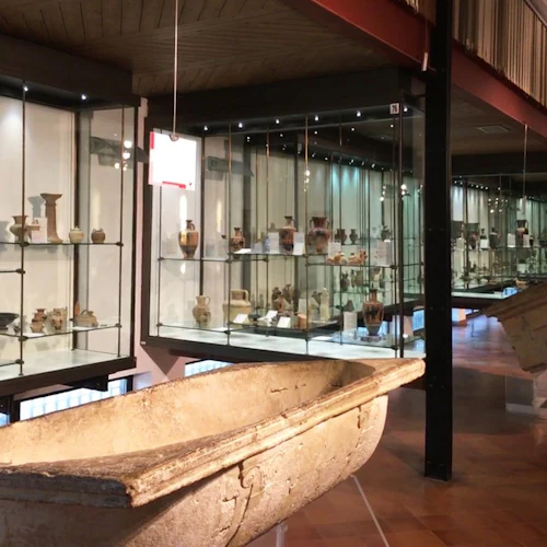 Regional Archaeological Museum Pietro Griffo: Entry Ticket