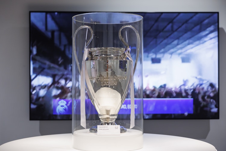Tour Bernabéu e Museu do Real Madrid: entrada direta Bilhete - 13