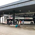 Autobusy Neobus