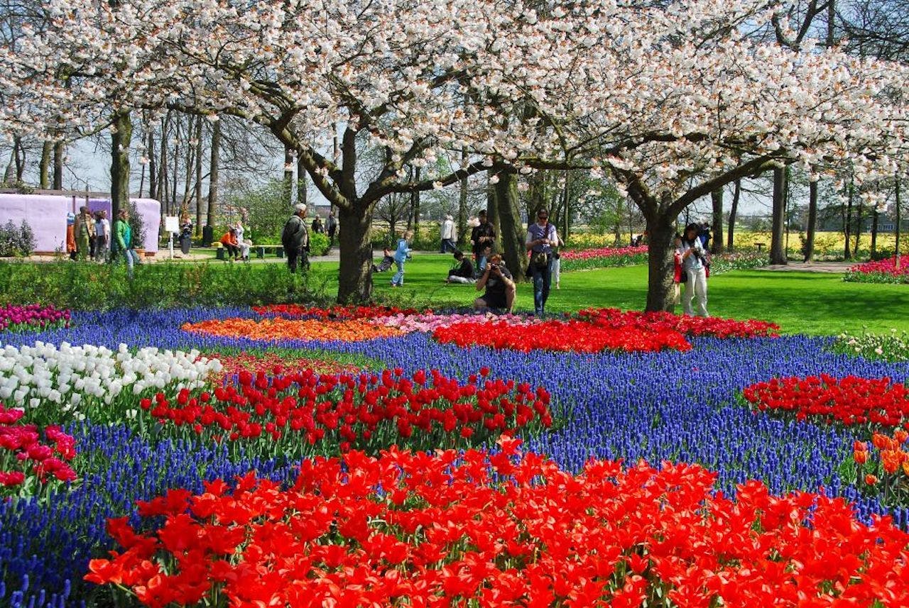 Orange and purple flowers at Kuekenhof Gardens