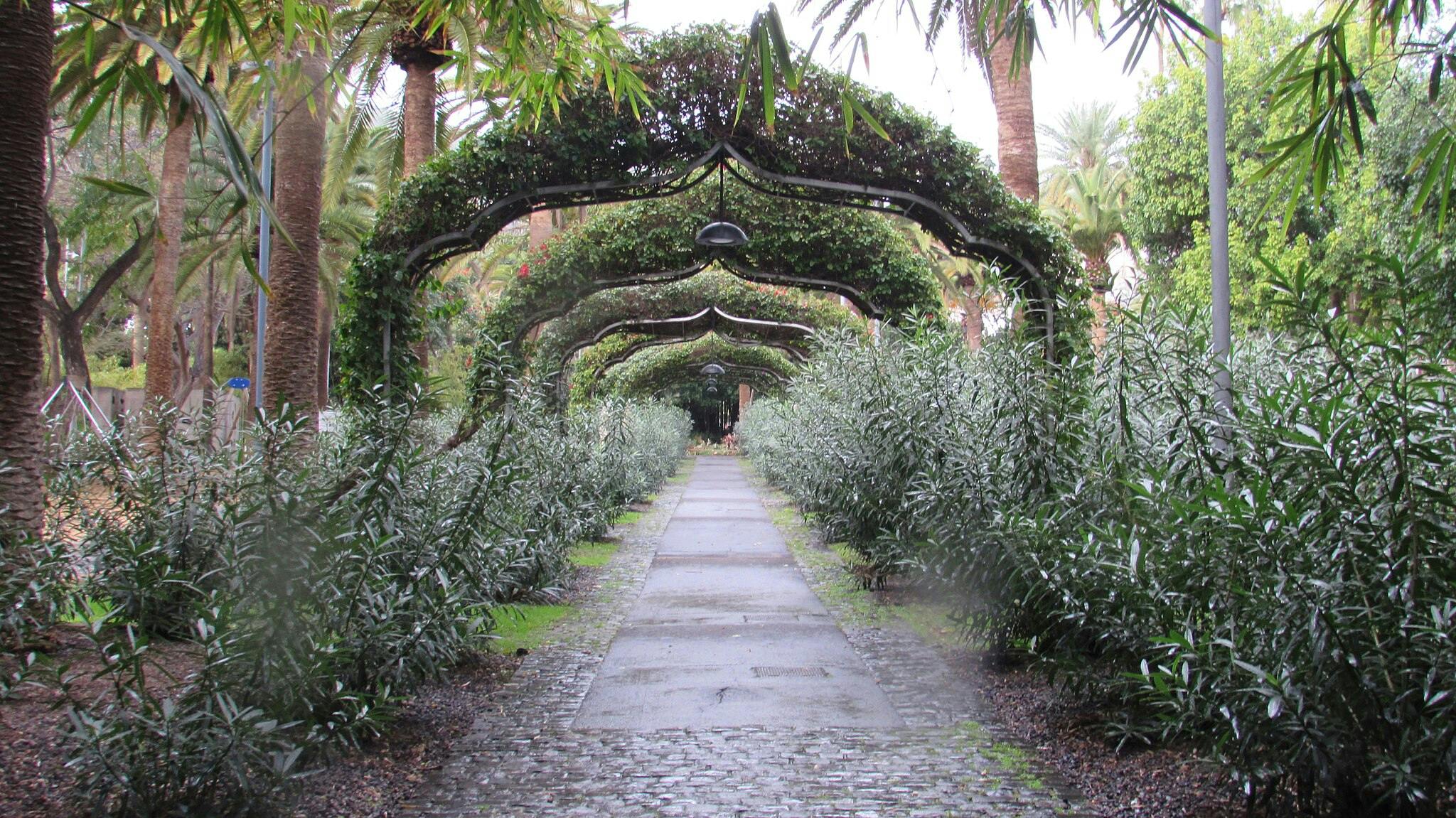 Parque García Sanabria στην Τενερίφη