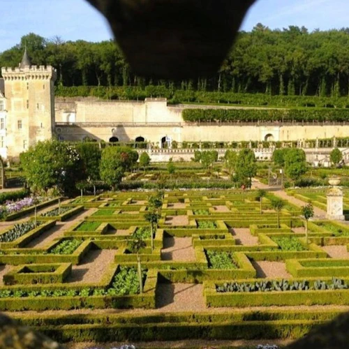 Château d'Azay-le-Rideau & Gardens of Villandry: Guided Trip from Tours - Photo 3