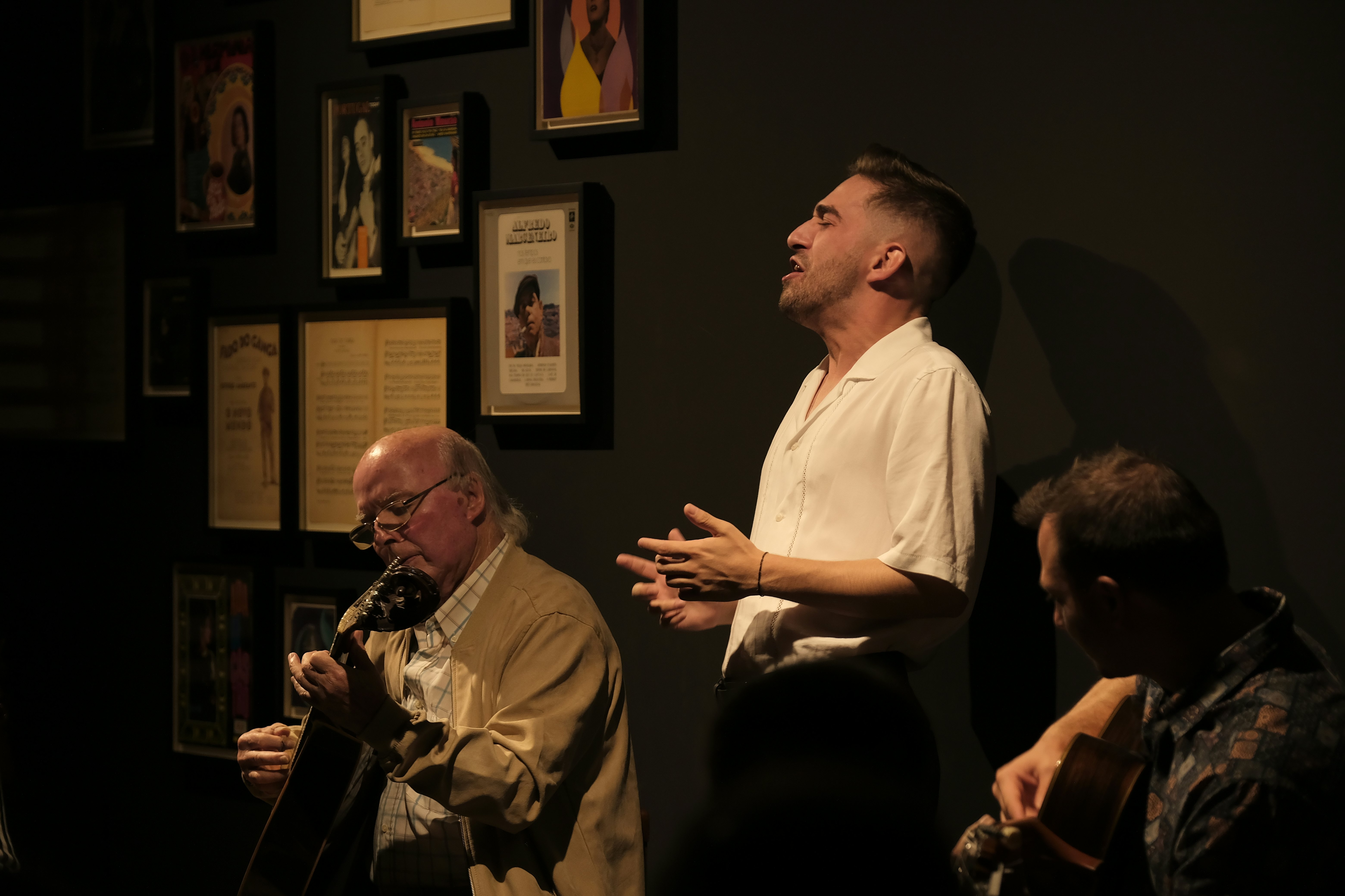 Porto: Traditional Fado Concert