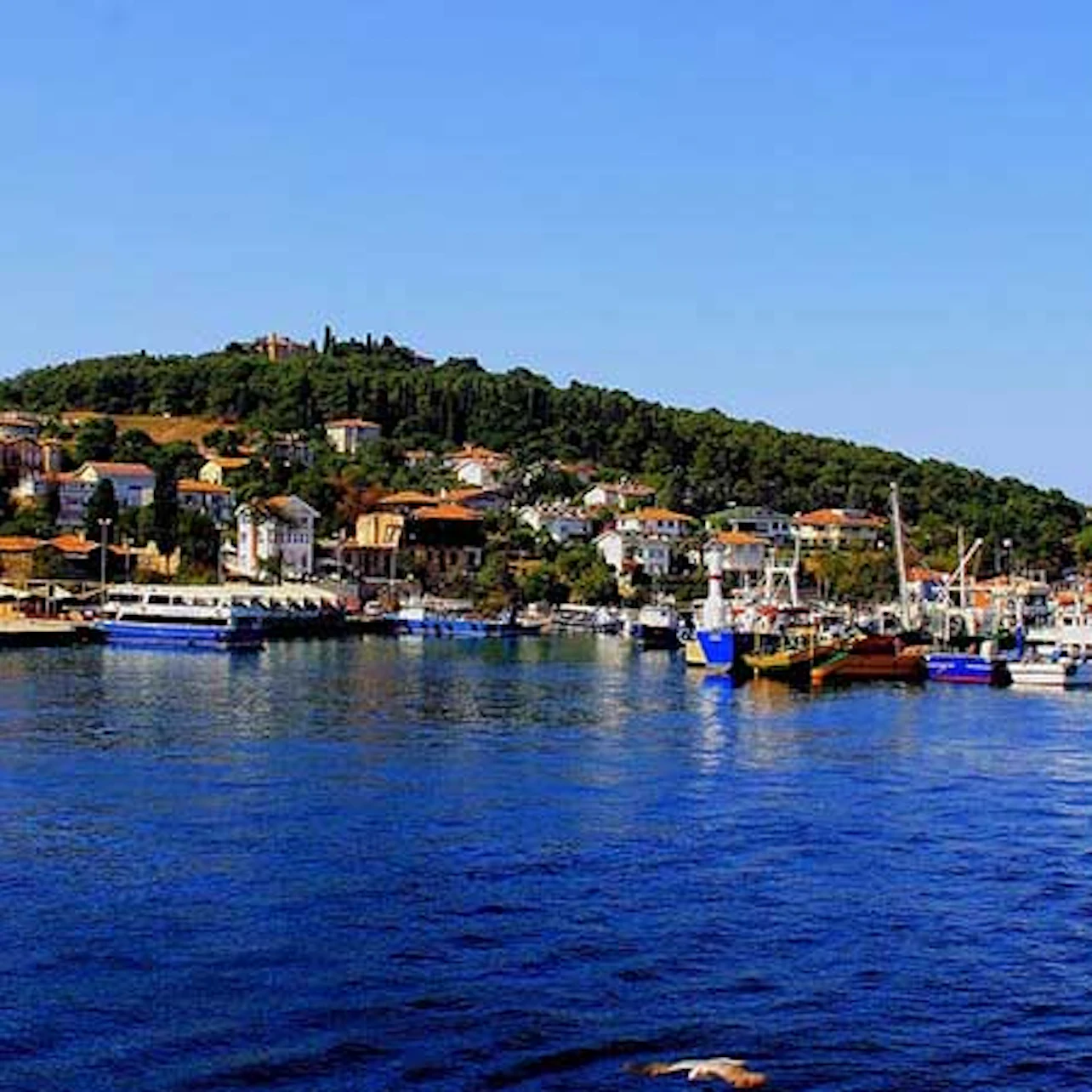 Slider Image