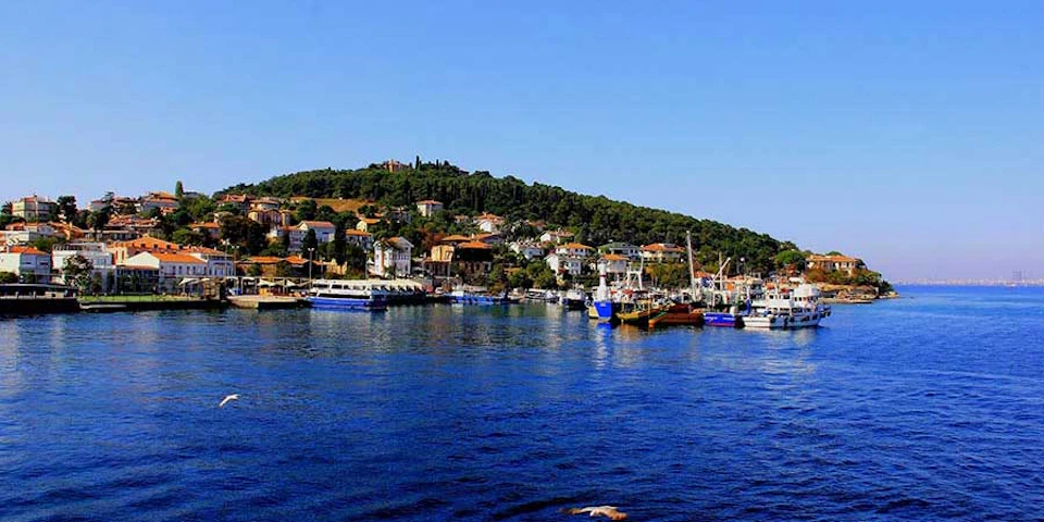 Coastal town with boats docked at a marina, houses on a hill, and a clear blue sky.