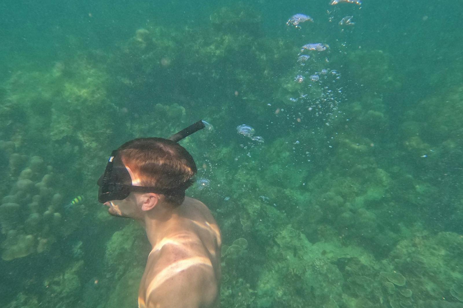 Muž šnorchlující pod vodou poblíž korálů, s viditelnými rybami a bublinami.