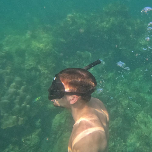 Phi Phi: Passeio de meio dia para mergulho com snorkel em um barco de cauda longa - Photo 14