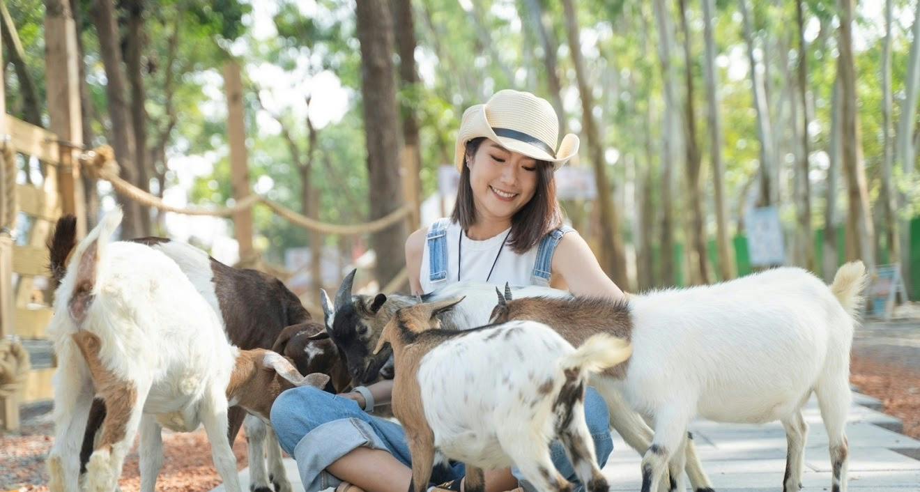 Meimea Shangshu Cute Pet Paradise: Full-Price Ticket