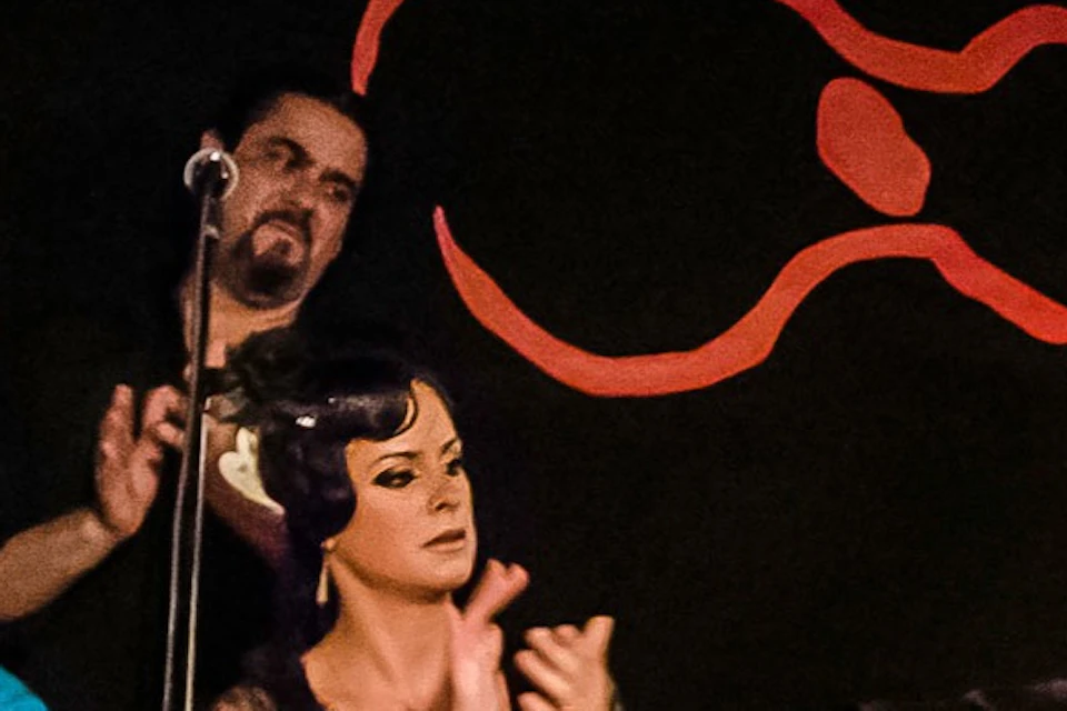 flamenco