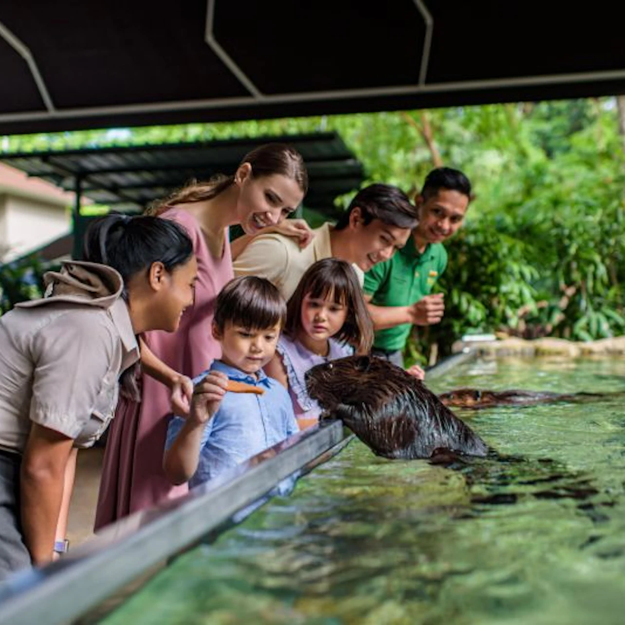 Singapore River Wonders: Entry Ticket in Singapore β Tiqets