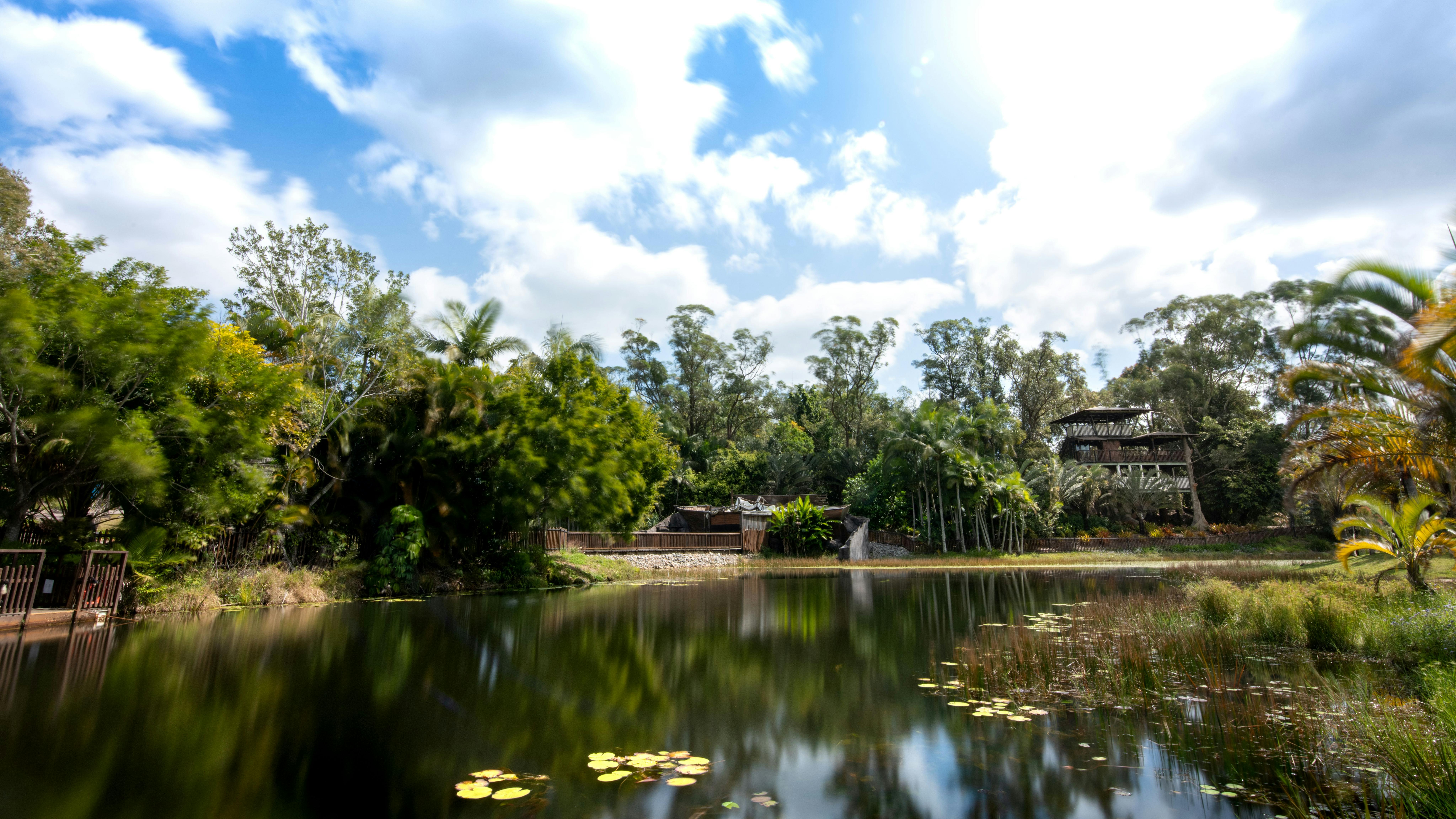 木々や植物に囲まれた穏やかな池で、部分的に曇った空の下、背景に部分的に建物が見えます。