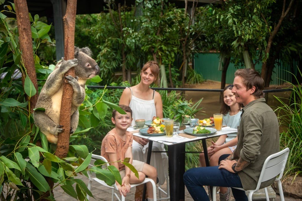Koala Breakfast available Saturday - Wednesday