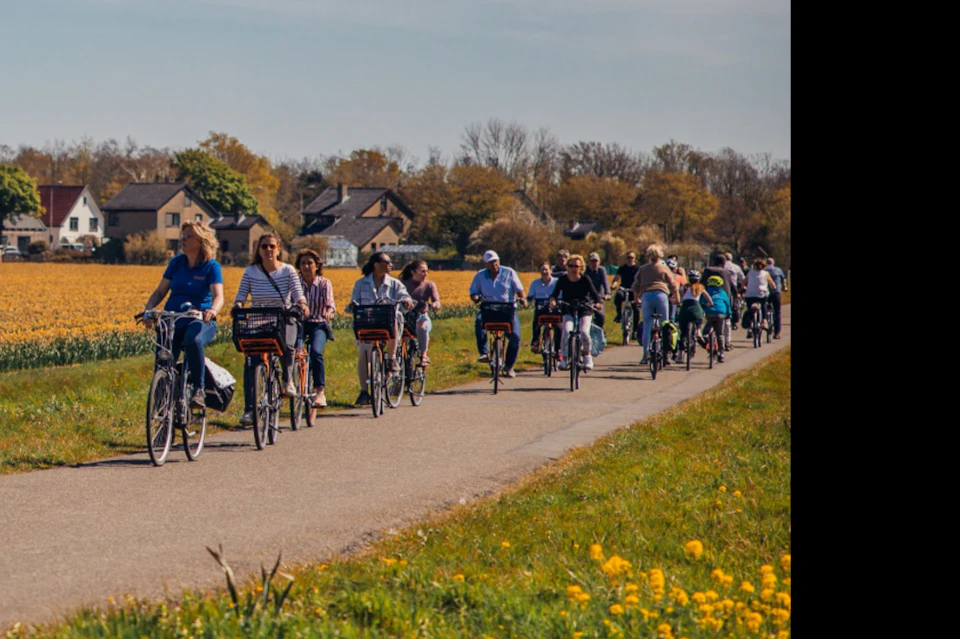 Cycling along the flower fields