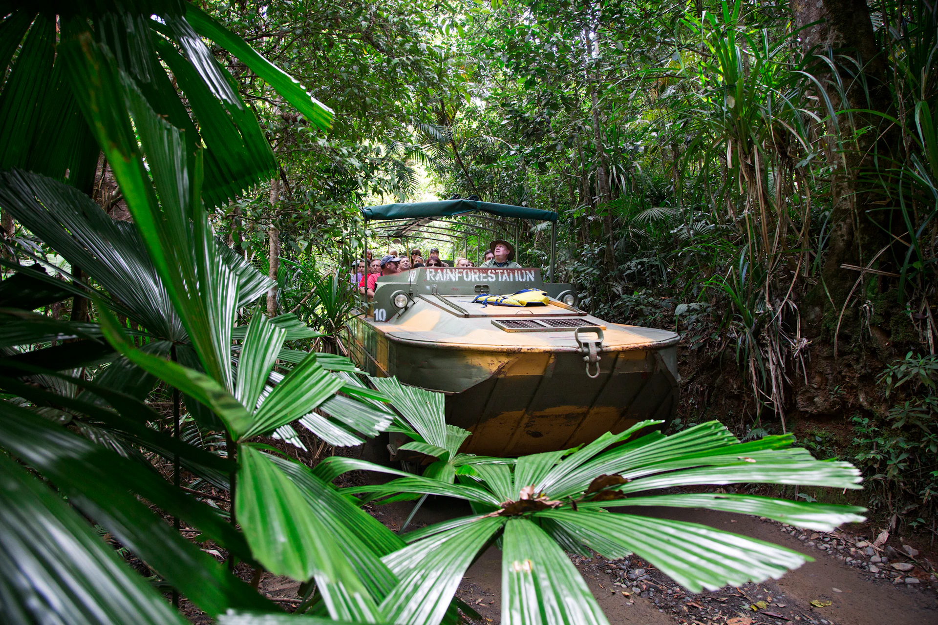 A group of people is riding an amphibious vehicle labeled "Rainforestation" through a dense, green tropical rainforest.