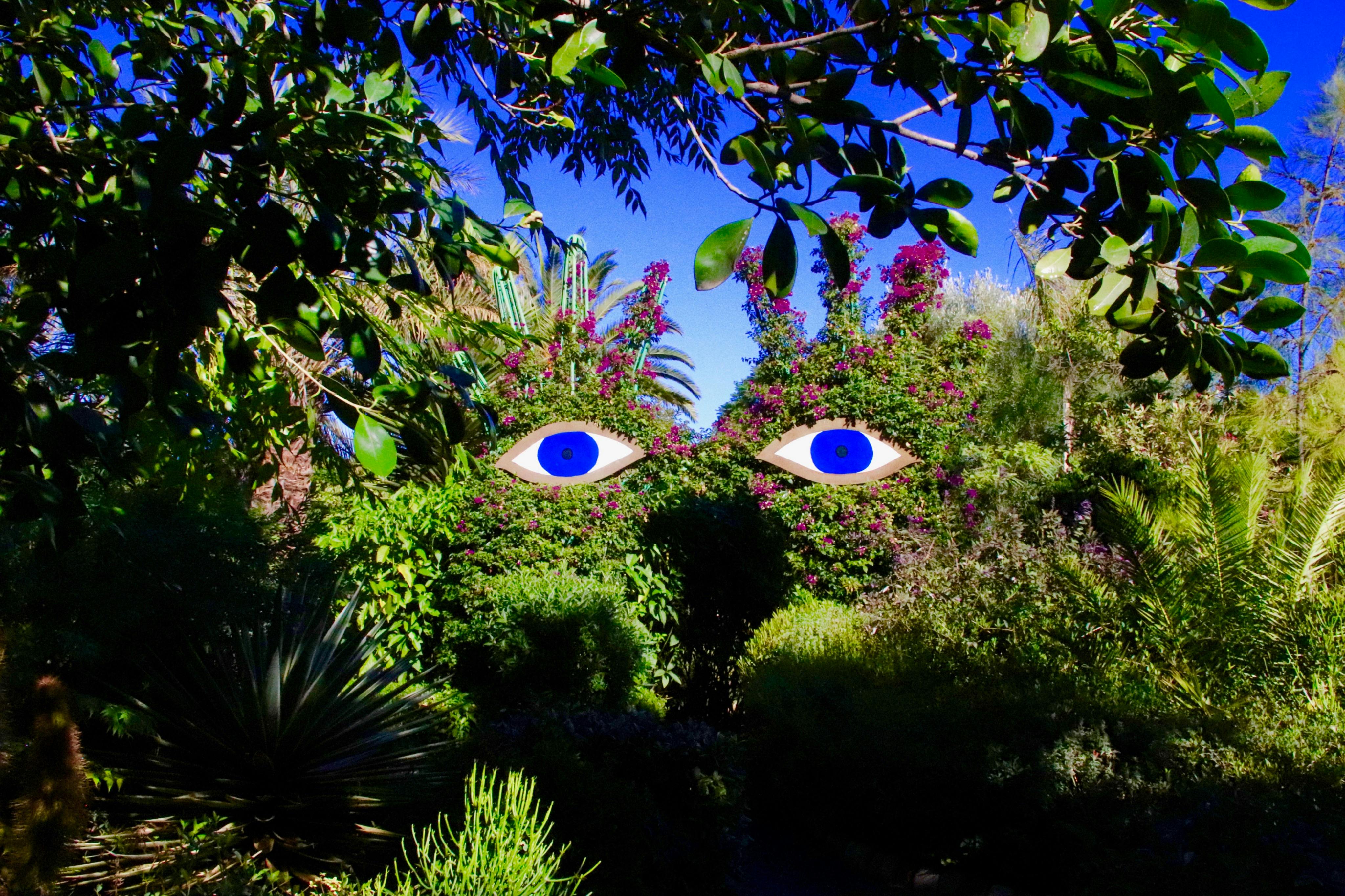 Giardino ANIMA: Biglietto d'ingresso + Navetta andata e ritorno — 3