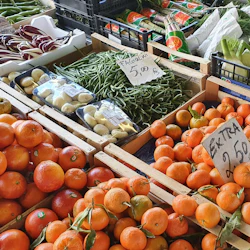 Florence: Guided Food Tour + Tastings + All’Antico Vinaio Skip The Line Access 2