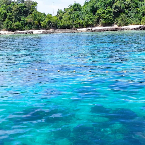 Phuket: Snorkeling Cruise + Sunset Dinner + Roundtrip Transfer - Photo 7