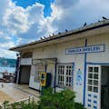 Bosporus rondvaart op luxe jacht