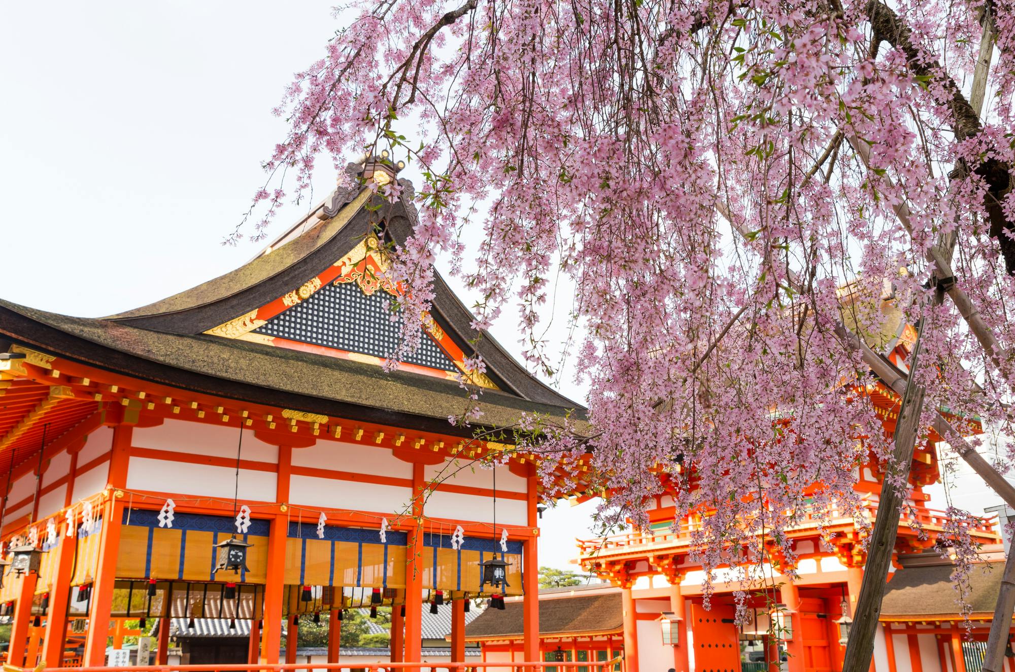 Fushimi Inari Taisha, Arashiyama, Kiyomizu-dera e Kinkaku-ji: Excursão de um dia a partir de Umeda com almoço em buffet + bilhetes de entrada - Photo 7