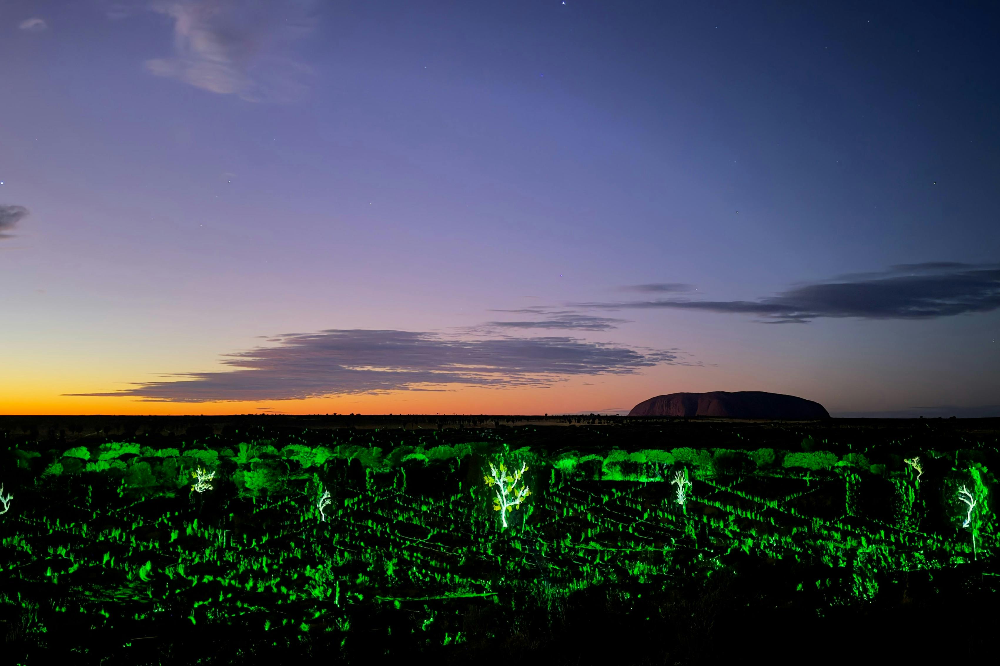 夕暮れ時の風景は、前景に照らされた緑の木、背景には暗い山岳地帯、そして夕暮れ時の空。