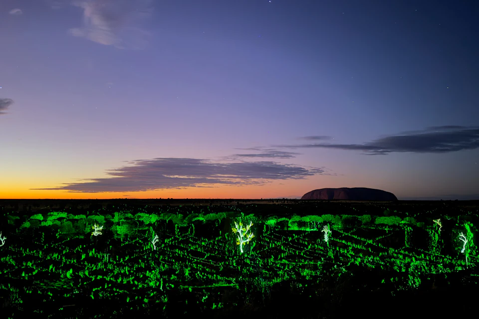 Landscape at dusk with illuminated green trees in the foreground, a dark mountainous formation in the background, and a twilight sky.