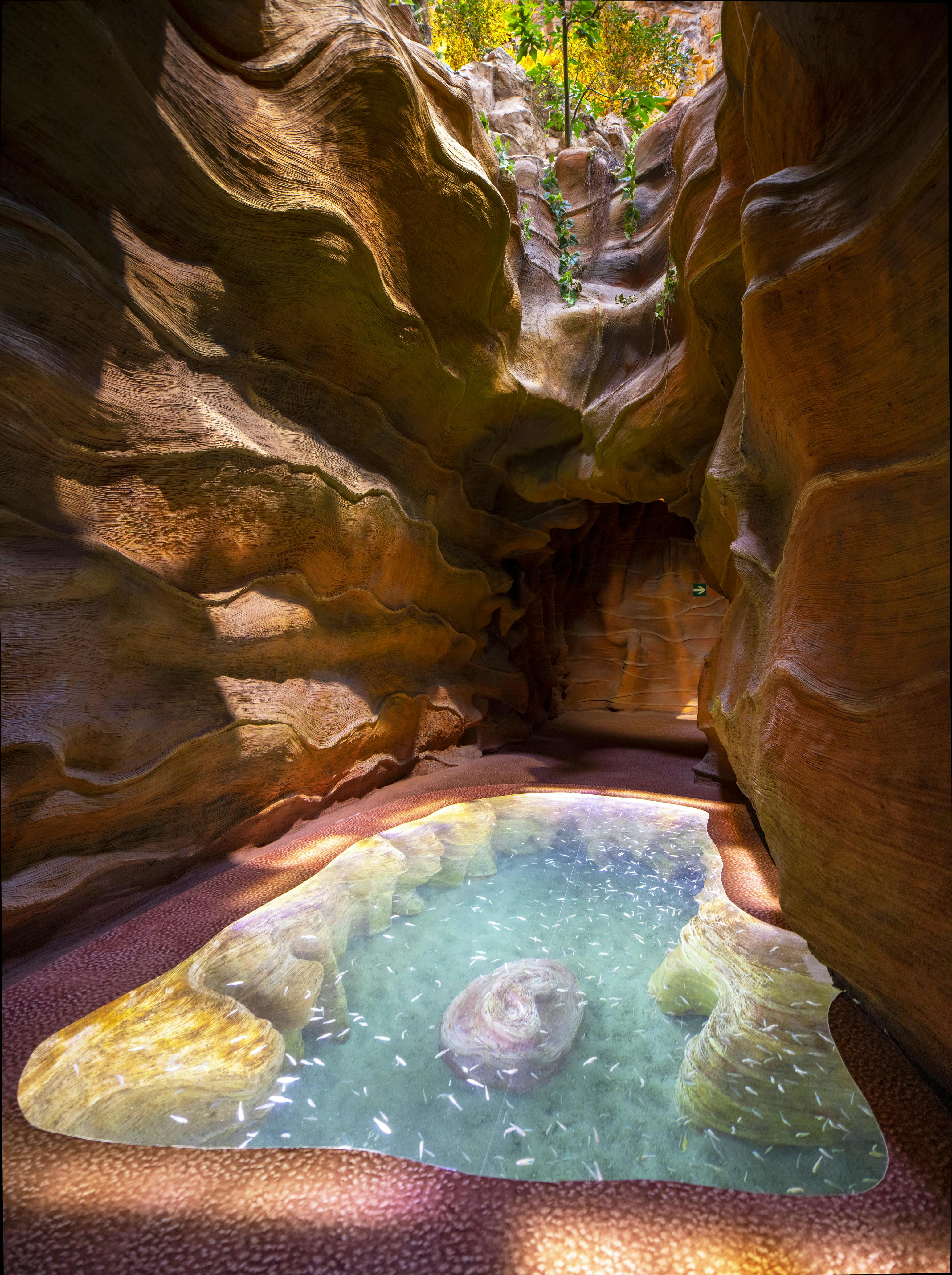 一座狭窄的岩石峡谷，阳光直射而来，清澈的水池中间有一条小鱼和一块岩石。