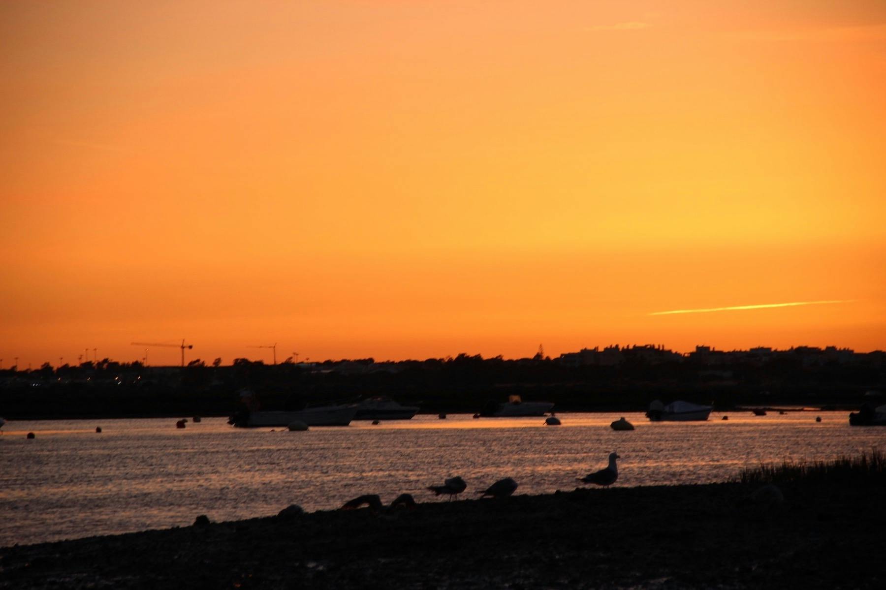 Ένα πορτοκαλί ηλιοβασίλεμα πάνω από μια παραλιακή περιοχή με βάρκες στο νερό και γλάρους στην ακτή, δημιουργώντας ένα ήρεμο σκηνικό