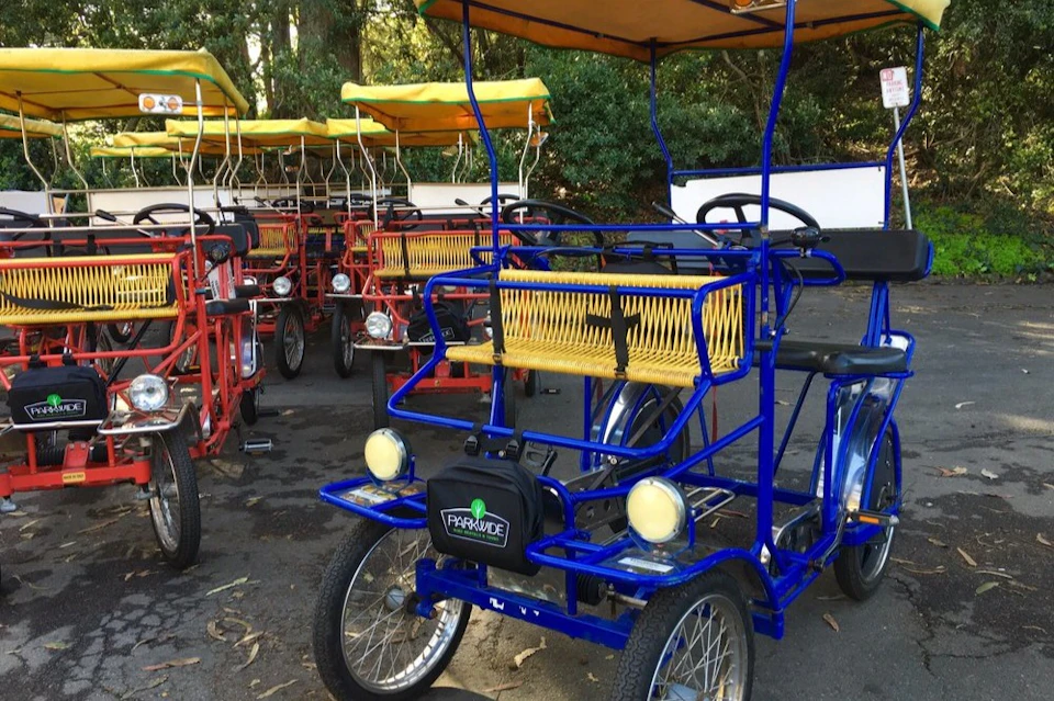 Our surrey bikes