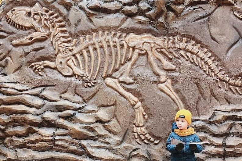 Tématický park Flight 315: Věk dinosaurů