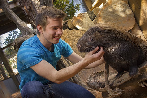 Un hombre con camisa de rayas azules acaricia a un wombat, sonriendo, con rocas y árboles de fondo.
