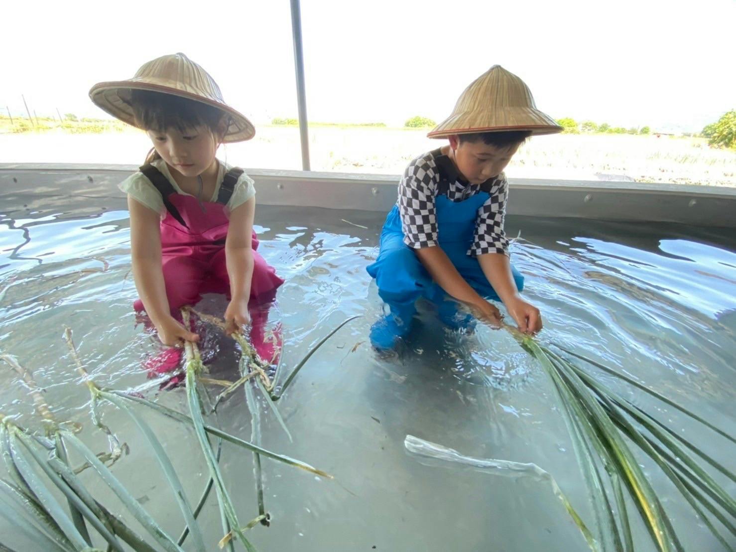 True Me Farm Yilan: Scallion Pancake DIY Experience