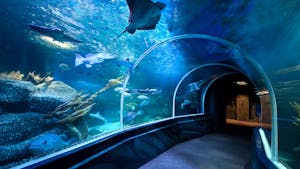 SEA LIFE Berlin: Tickets