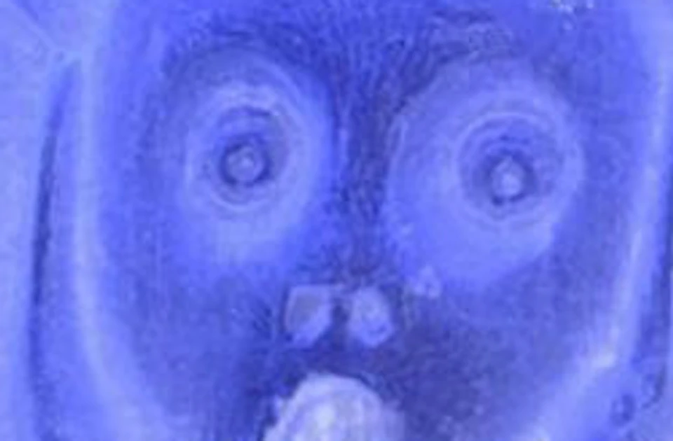 A person with a shocked expression stands beside an ice sculpture mimicking the same expression, inspired by "The Scream" painting.