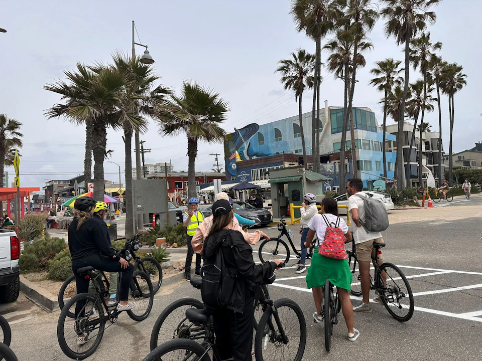 A group of cyclists rests on a coastal path lined with palm trees and colorful buildings in the background.