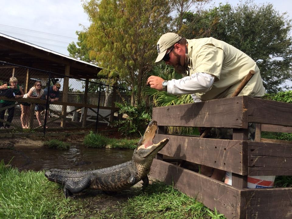 40-Minute Everglades Airboat Ride + Jungle Queen Cruise