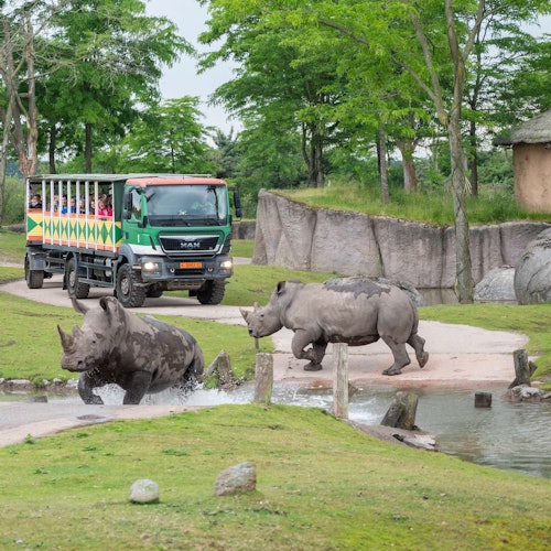 Wildlands Adventure Zoo Emmen: Skip The Line Entry Ticket Wildlands Adventure Zoo Emmen: Skip The Line Entry Ticket
