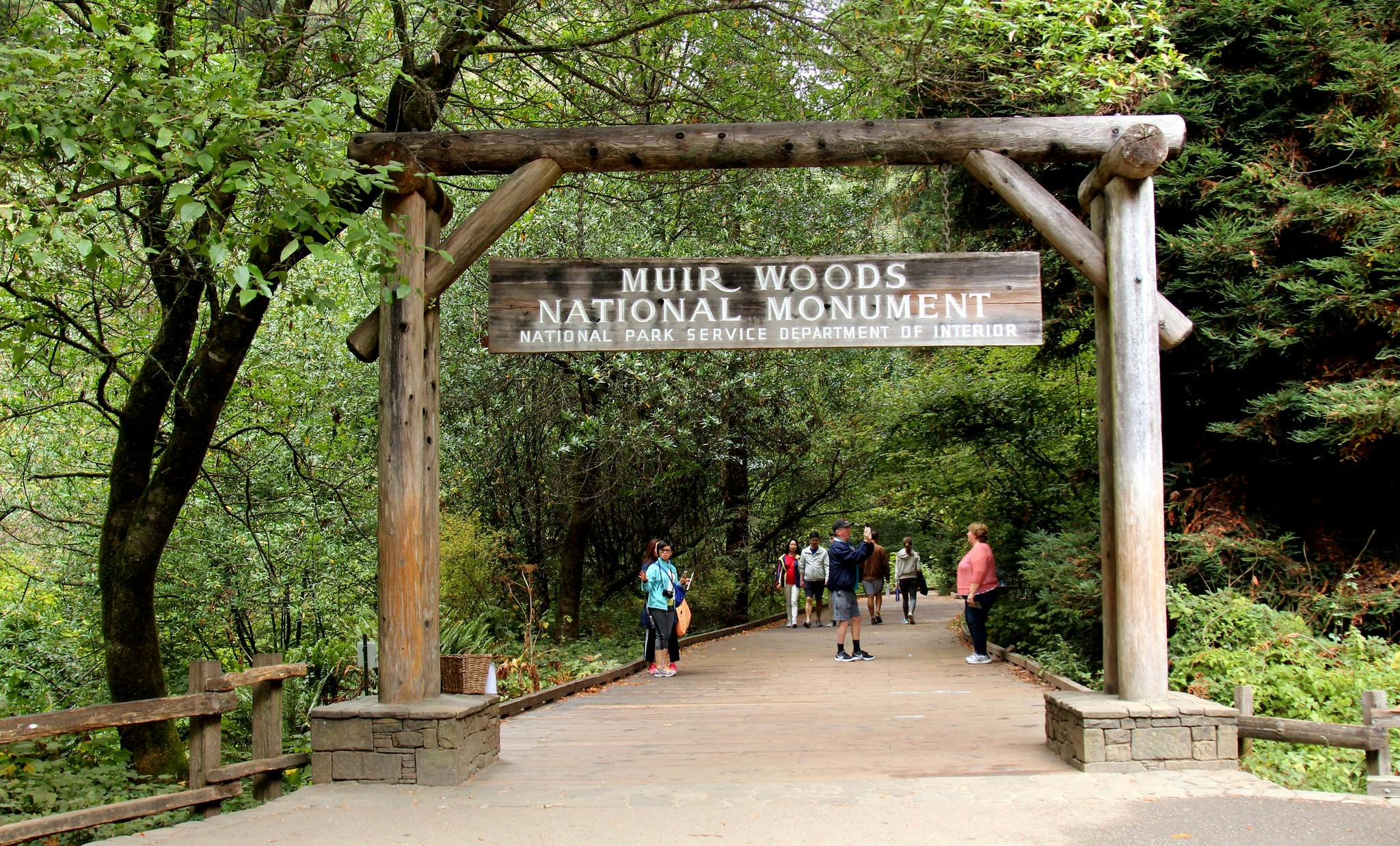 Muir Woods National Monument in San Francisco