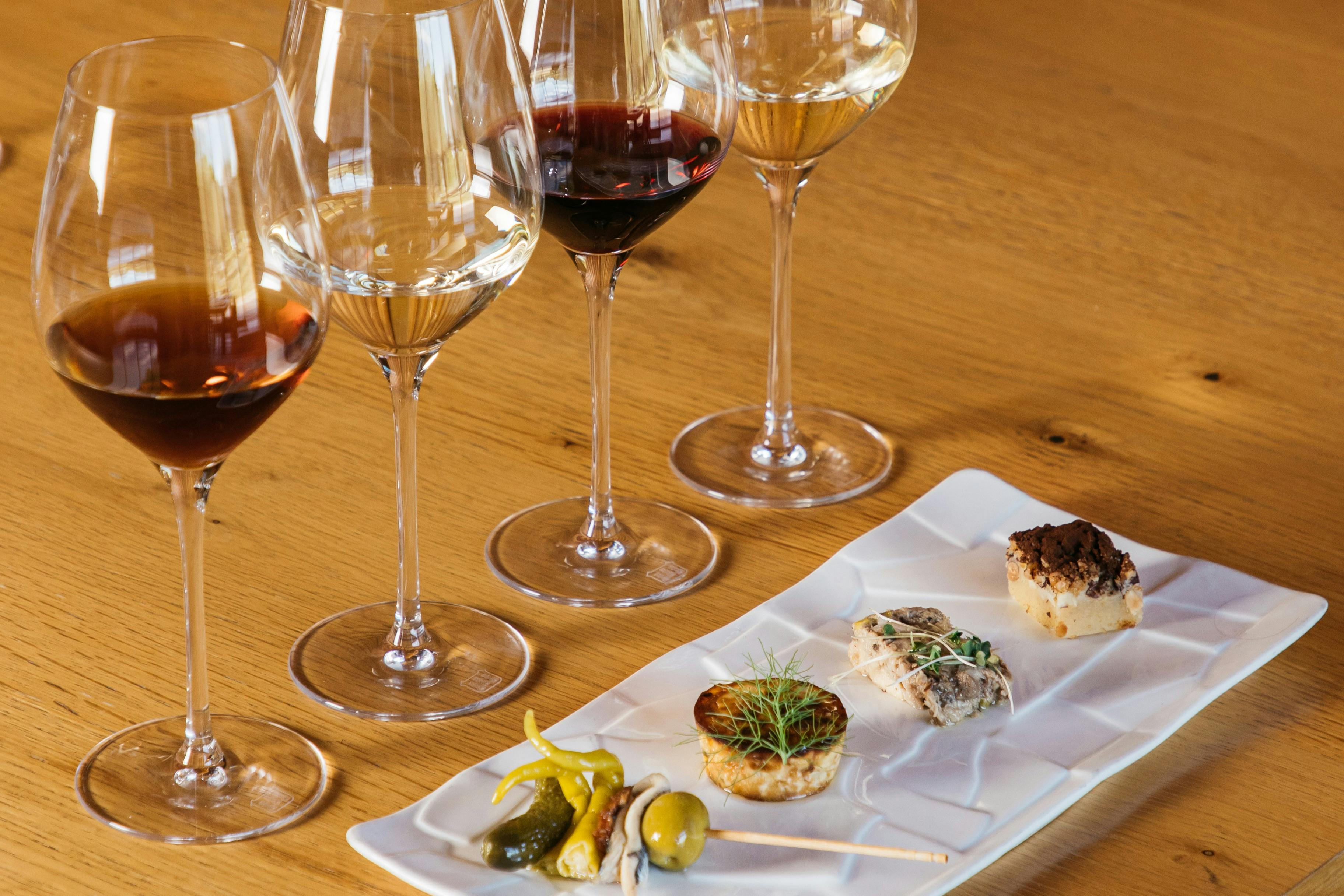 Torres Winery: Tour guidato + Abbinamento vino e tapas — 4