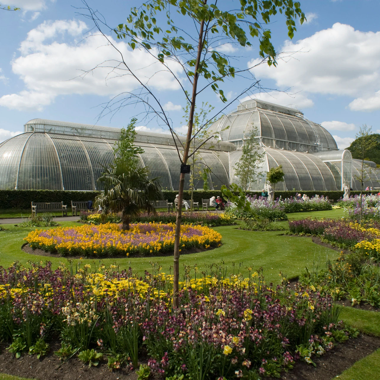 Kew Gardens: Entry Ticket in London β Tiqets