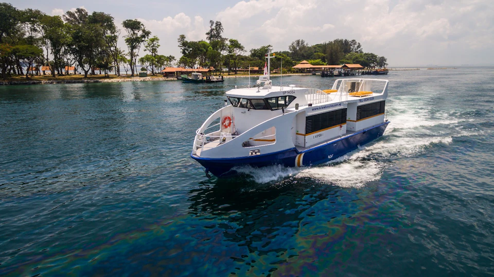 A white and blue ferry sails on calm waters near a leafy shore with buildings in the background on a sunny day.