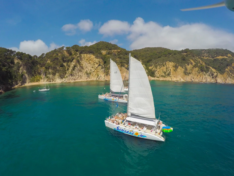 Two sailboats with white sails on clear blue water near a rocky, tree-covered shoreline under a partly cloudy sky.