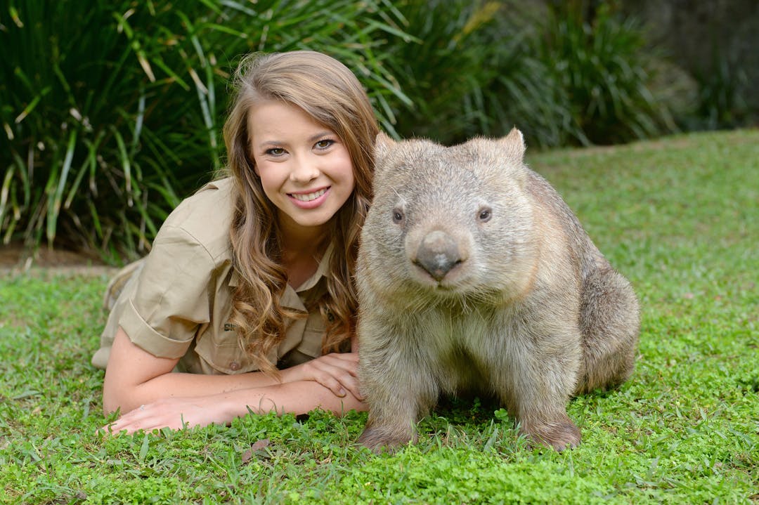 Zoo dell'Australia: Escursioni, tour e gite da Brisbane