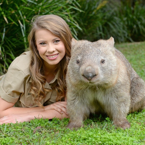Zoo de Australia: Entrada y traslados desde Brisbane, Noosa o Sunshine Coast