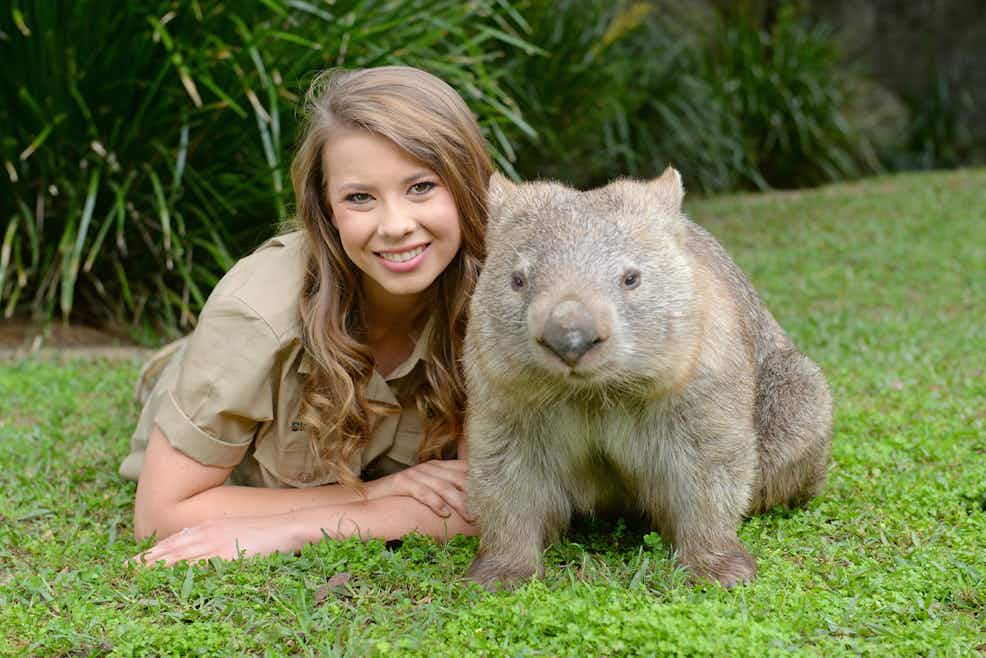 Australia Zoo Discounts For Members Racq